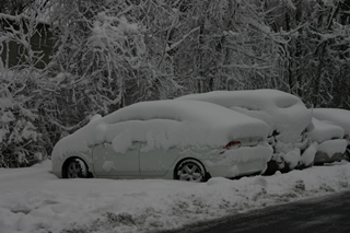 Civic in the Snow