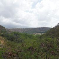 Hills