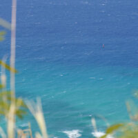 Buoy
