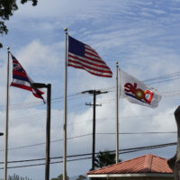 Flags