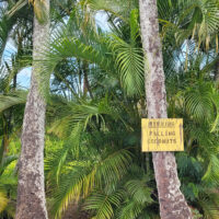 Warning