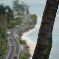 Coasty