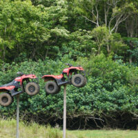 Flying