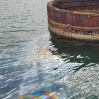 Oil Slick