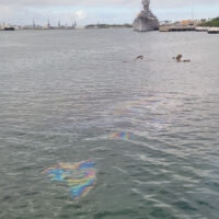 More Oil