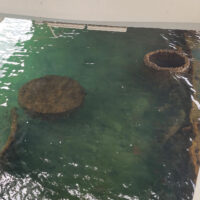 USS Arizona