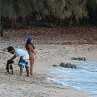 Dog and People