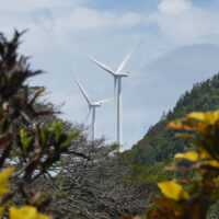 Wind Things