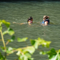 Swimmers