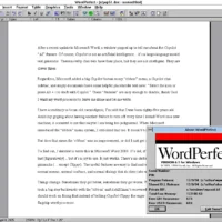 Novell WordPerfect 6.1, Windows 3.1
