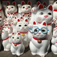 Meow Meow Meow