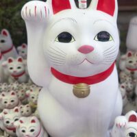 MEOW
