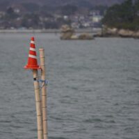Cone