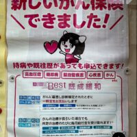 Catgirl