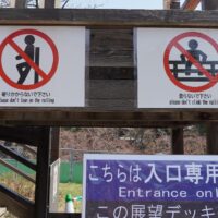 Ugh, Rules