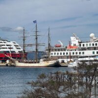 Bark Europa