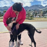 Wife and Dog