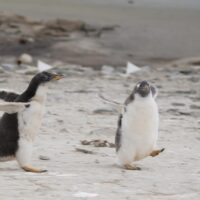 Run