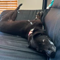 More Comfort?